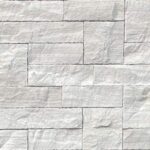 White Birch