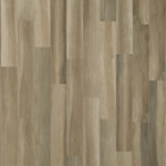 Birch