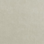 Bloom Grey