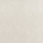 Bloom White