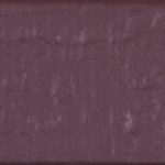 Aubergine