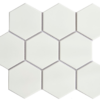 White Hexagon Mosaic