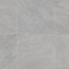 Star Grey
