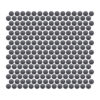Carbon Pennyrounds