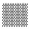 Platinum Pennyrounds