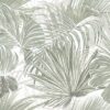 Color Mood Tropical