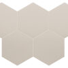 Taupe Hex