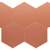 Warm Siena Hex