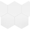 White Hex